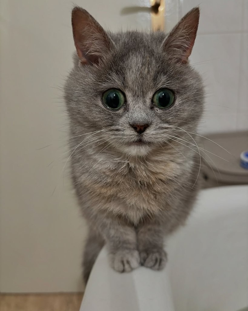 Ÿ  .   2 .           ... - 5