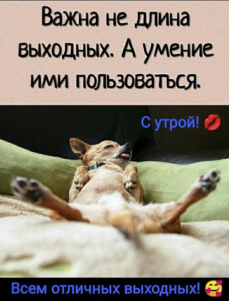 ***Victoria Viktorovna*** - 2  2024  11:47