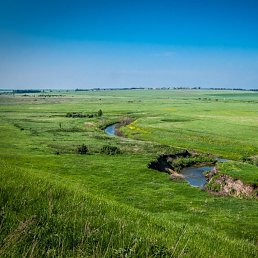 ���� �����, ������, 64 ���� - ��������� 21 ������� 2025