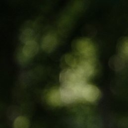 �����, �����������