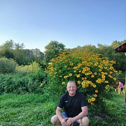, 61, 