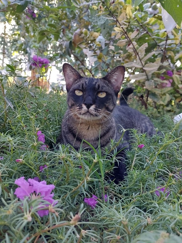 Heo o, y  ae ope - 2