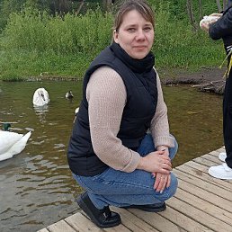 , 41,  