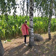 �����, 62 ����, �����