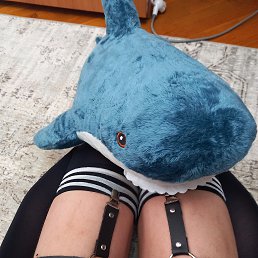 ���� ����, �����-���������, 18 ��� - ��������� 23 ���� 2026