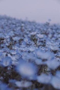 ����� ������� � �������, �� ��� ������������ ��� ����. - 4