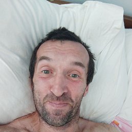  , 51 , 