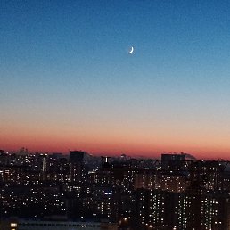 ��������, ������, 46 ���