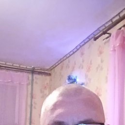 , 45, 