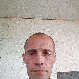 , 42, 