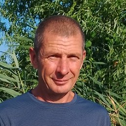 ������, ������, 49 ���