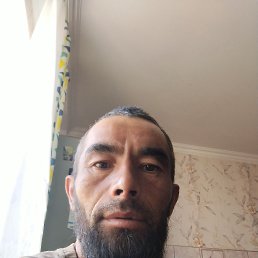 , 41, 