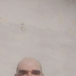 ������, 44 ����, �����������