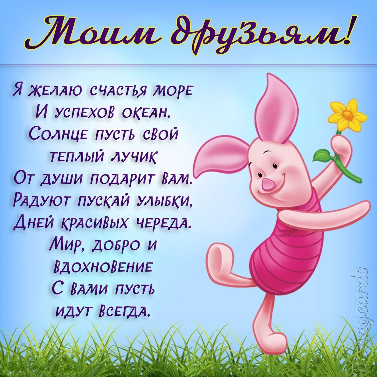 Polina - 11  2025  16:00