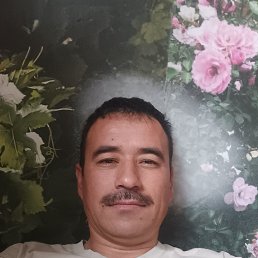 , 36, 