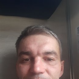 , 39, 