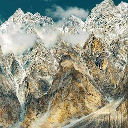 Muhsinjon, ������, 34 ����