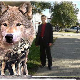 ����, �����, 44 ����