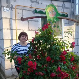 ���� �����, �������� - ��������� 16 �������� 2024