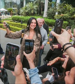 �����������