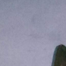 ����, ������, 60 ���