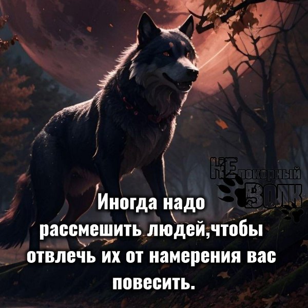  - 20  2024  23:53