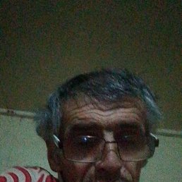 , 54, 
