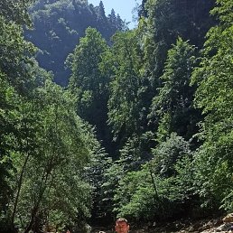 ���� ���������, ����, 51 ��� - ��������� 13 ���� 2025