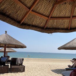 ���� �����, �������, 59 ��� - ��������� 8 ������� 2024