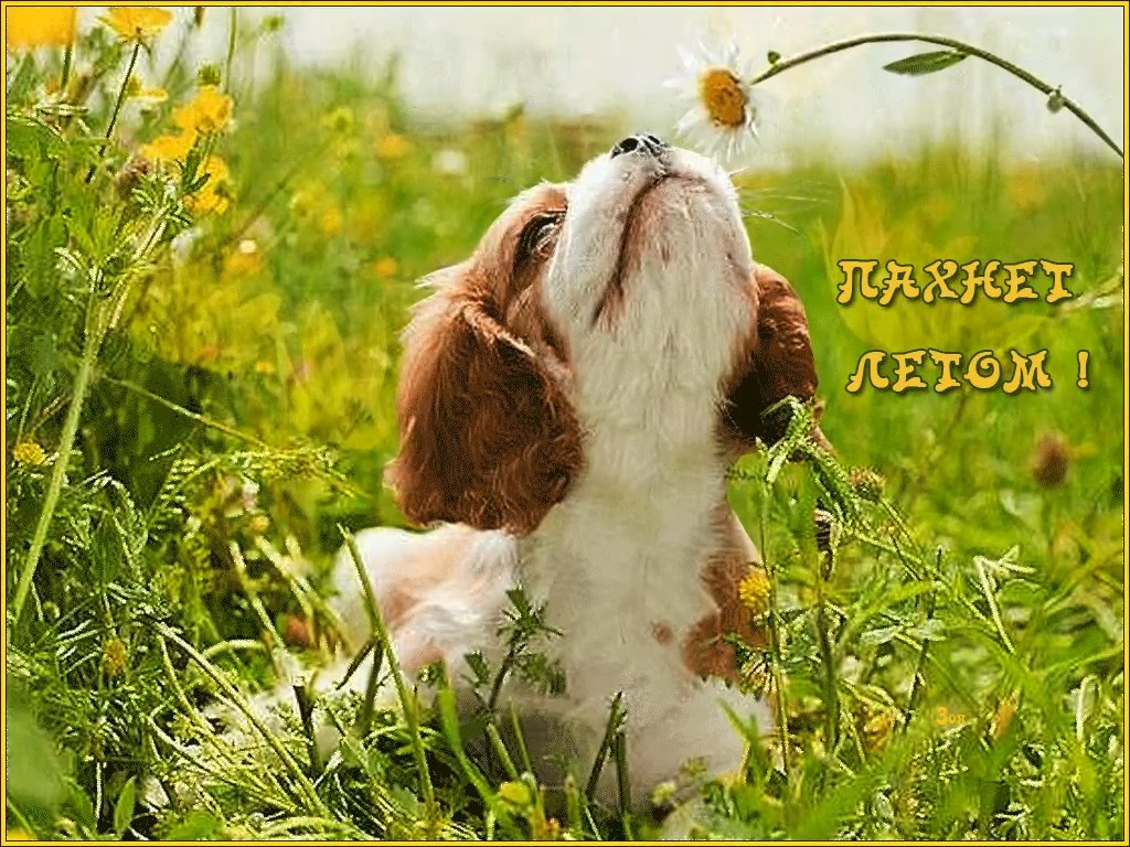  , ...     ,     , !!!  ...