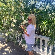 �����, 44 ����, �����������