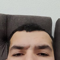 ���� �����, ������������, 33 ���� - ��������� 15 ������� 2024