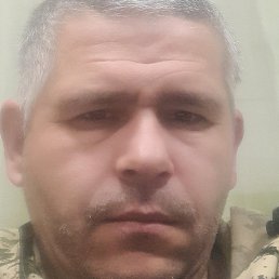 �����, ���������, 43 ����