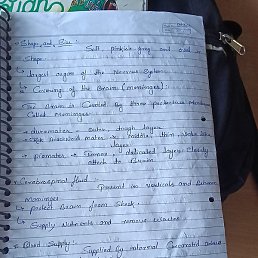 Tony, �������, 18 ���