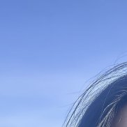 ����, 44 ����, ������