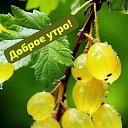 ���� ���, ����������, 53 ���� - ��������� 15 ������ 2023