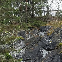 ��������, �����������, 35 ���