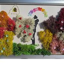 ���� Svetlozar, �����, 45 ��� - ��������� 1 ������� 2025 � ������ ����� �� ����