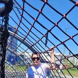 ���������, �������������-����������, 43 ����