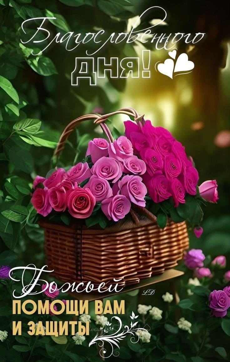 ***Victoria Viktorovna*** - 17  2025  05:37 - 2