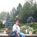 ���� ����������, ���������� - ��������� 17 ������� 2025 � ������ ���� ����������