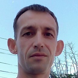 ����, �������, 41 ���