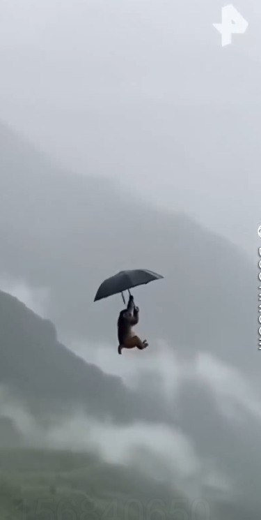 ��������, ������������ ���� �������, ������� � ������� ���� � ������� �� ��������� �������� � ����. ...