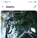 ���� ���������, �������, 44 ���� - ��������� 10 ��� 2026 � ������ ���� ����������
