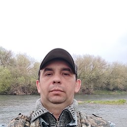 , 44, 
