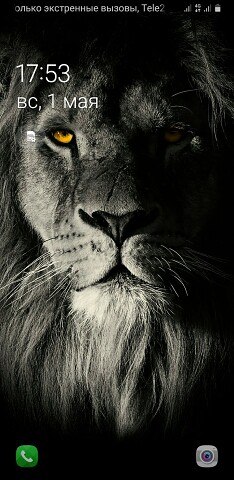 ���� ���������, ������, 44 ���� - ��������� 15 ������� 2023