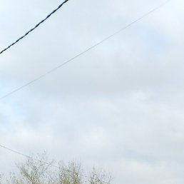 ���������, ��������, 52 ����