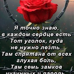 ���� �������, ����, 56 ��� - ��������� 27 ������� 2026
