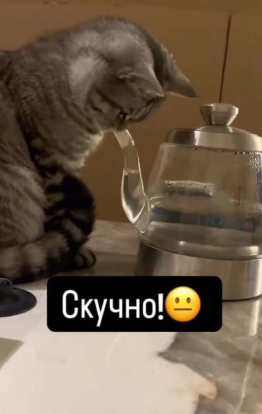 Он уже так полчаса сидит... Вдыхает и выдыхает, а вода в чайнике то поднимается, то опускается. )) ...