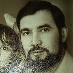 ��������, ������, 53 ����